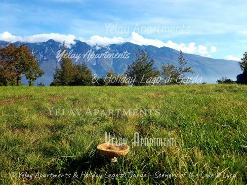 Yelay Apartments & Holiday Lago Di Garda