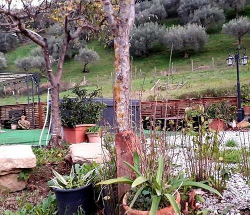 Bed & Breakfast Agriturismo Gentile