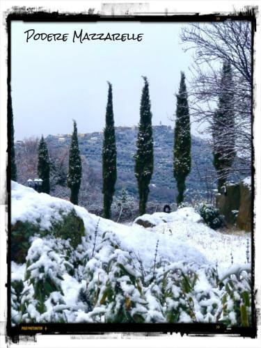 Podere Mazzarelle
