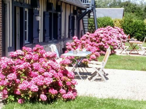 Bed & Breakfast Le Manoir Du Petit Saint Pierre