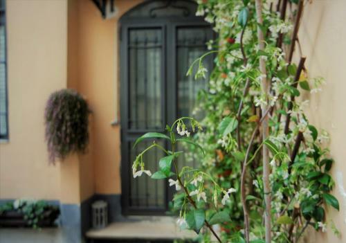 Bed & Breakfast Verdi Home