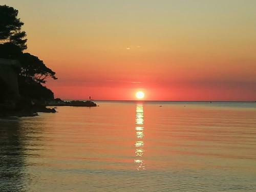 Apartamento Le Zen Studio