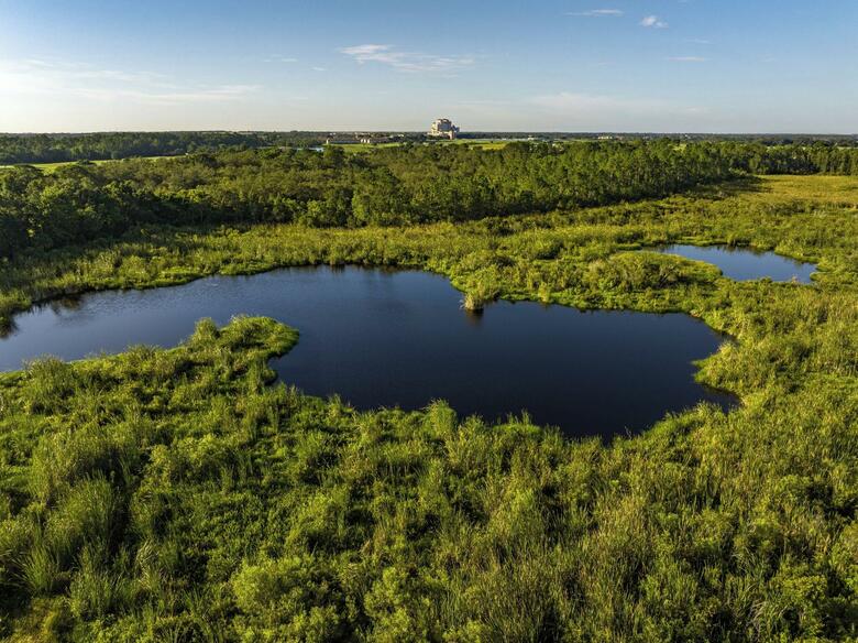Hotel Omni Orlando Resort At Championsgate