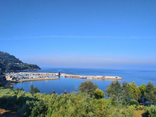 Apartamento Casa Vacanze De Simone San Marco Di Castellabate
