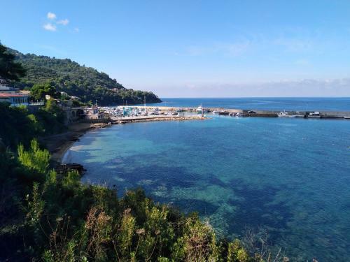 Apartamento Casa Vacanze De Simone San Marco Di Castellabate