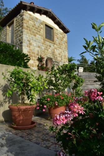 Agroturismo Villa Nibbio Nebrodi