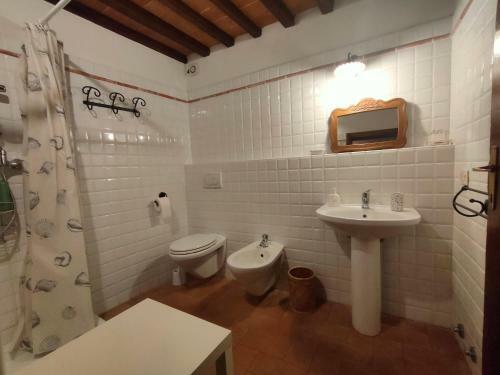 Apartamento Palazzo Bianciardi Attico