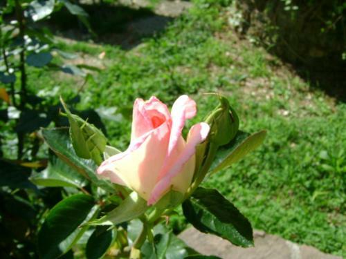 Apartamento Giardino Dei Fiori