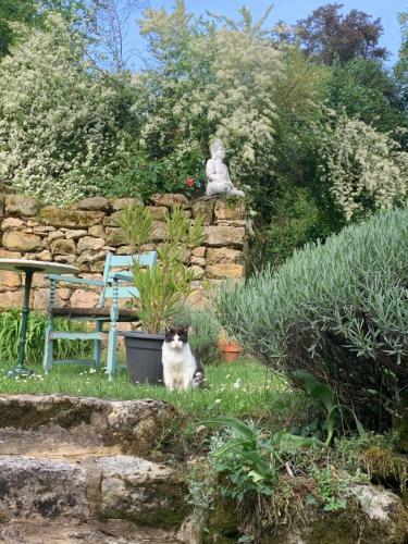 Hostal Ferme De Tayac - Charme Avec Pool