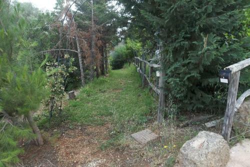 Il Corbezzolo Blue Apartment