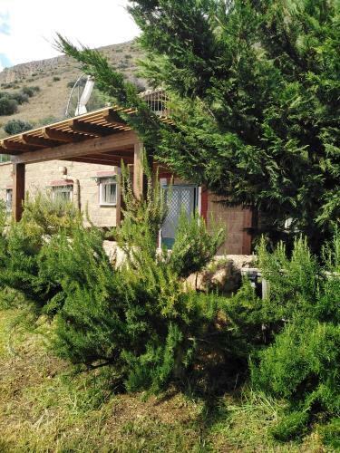 Il Corbezzolo Blue Apartment