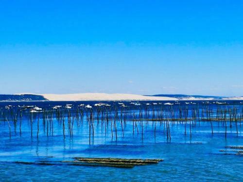 Apartamento Location De Vacances Bassin Arcachon