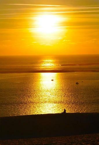 Apartamento Location De Vacances Bassin Arcachon