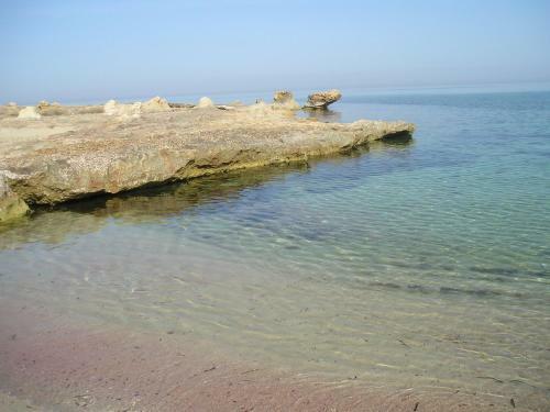 Splendida Villetta Tra Gli Ulivi, Non Distante Dal Mare