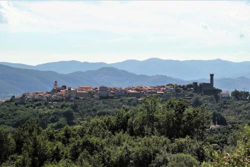 Fattoria Cristina - Fenice