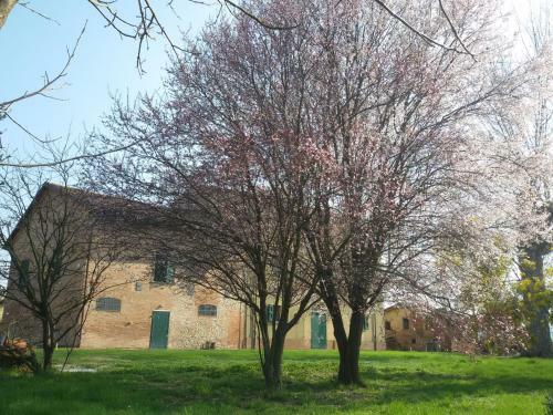 Bed & Breakfast Il Boschetto Di Morgana