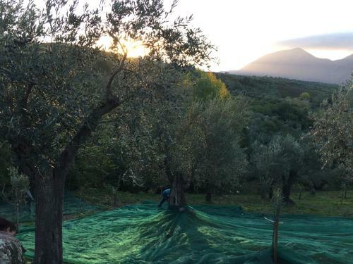 Villa Dimorra Country House
