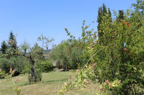 Villa La Casa Di Eva
