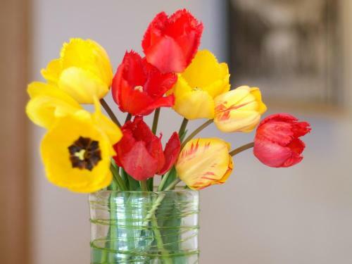 Apartamento Landhaus Severin
