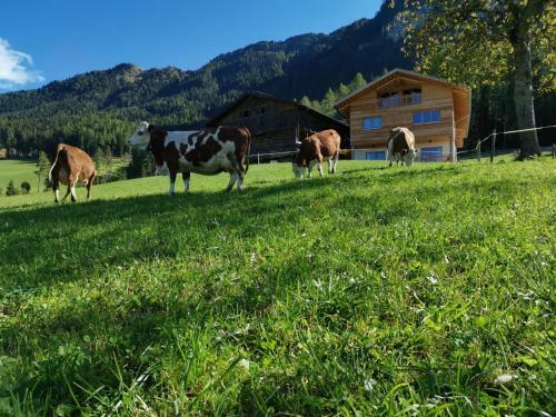 Apartamento Ritschhof