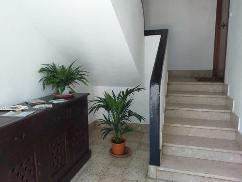 Apartamento Mini Alloggi La Duchessa