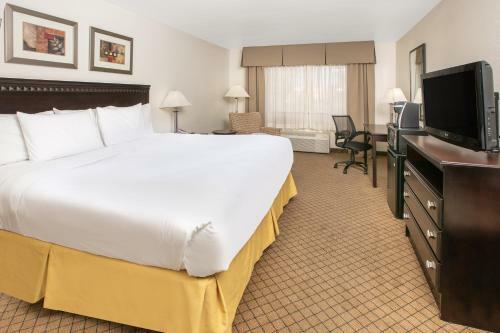 Hotel Holiday Inn Express & Suites Roswell