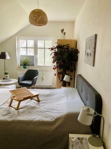 Bed & Breakfast Zielone Okiennice