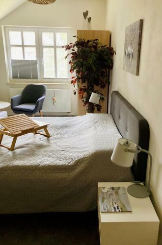 Bed & Breakfast Zielone Okiennice