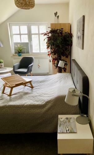 Bed & Breakfast Zielone Okiennice