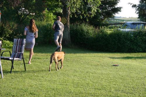 Bed & Breakfast Zielone Okiennice