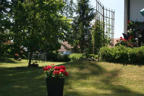 Bed & Breakfast Zielone Okiennice