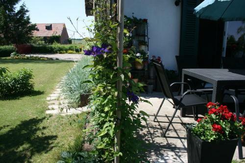 Bed & Breakfast Zielone Okiennice