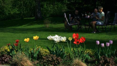 Bed & Breakfast Zielone Okiennice