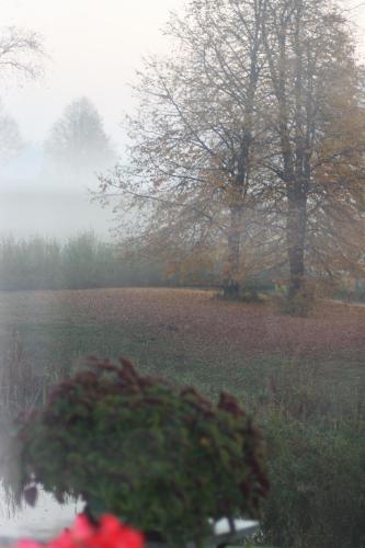 Bed & Breakfast Zielone Okiennice