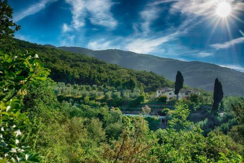 Castellina Di Bocco