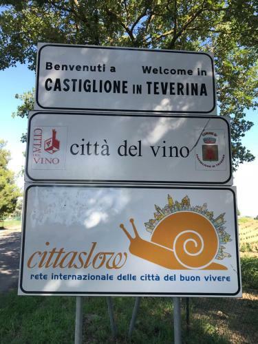 Castiglione Apartament You&me