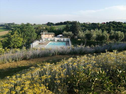 Bed & Breakfast Il Gelso Country House