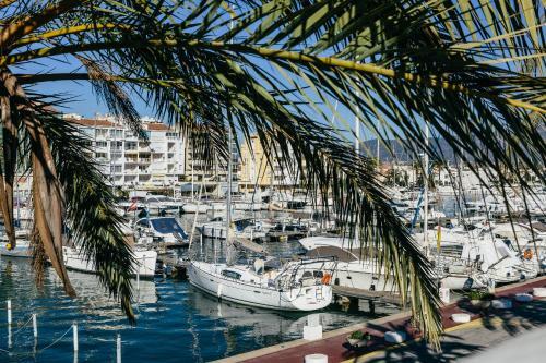 Apart-rent Casas Freser