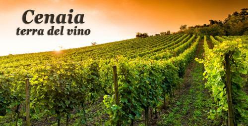 Apartamento Appartamento Tuscany