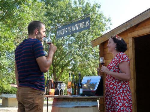 Camping Les Portes Du Beaujolais