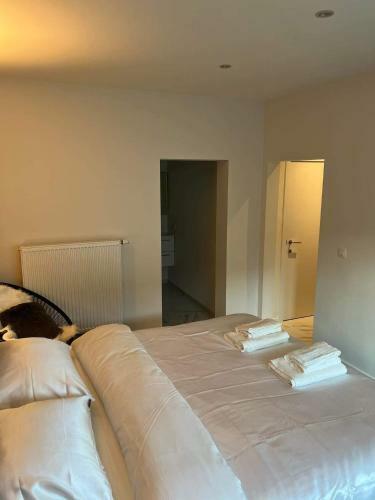 Bed & Breakfast Grote Kamer In Brugge Centrum Met Badkamer !