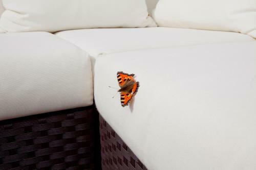 Aparthotel Apartmenthaus Salve