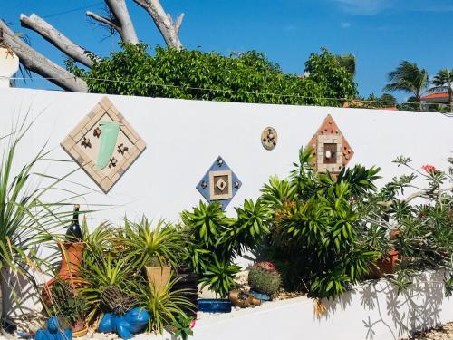Villa Bougainvillea Aruba, The Tango Suite