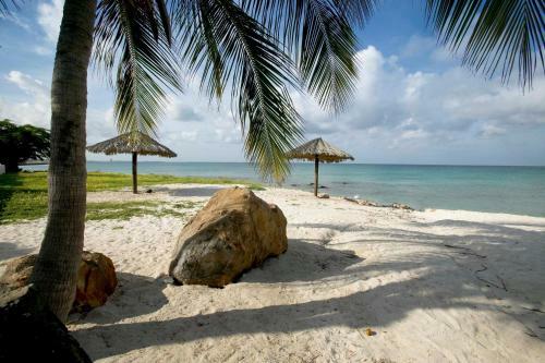 Villa Bougainvillea Aruba, The Tango Suite