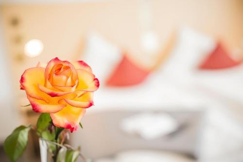 Hostal City-hotel Garni