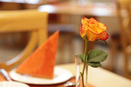 Hostal City-hotel Garni