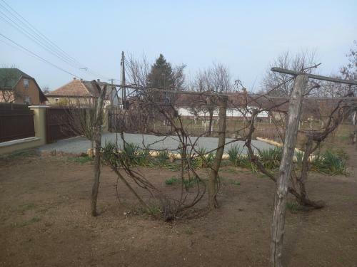 Galamblak Vend�gh�z