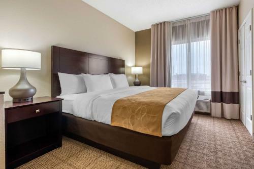 Hotel Comfort Suites Lafayette
