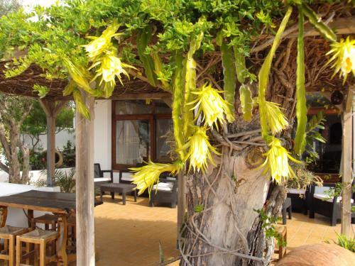 Hostal Marblau