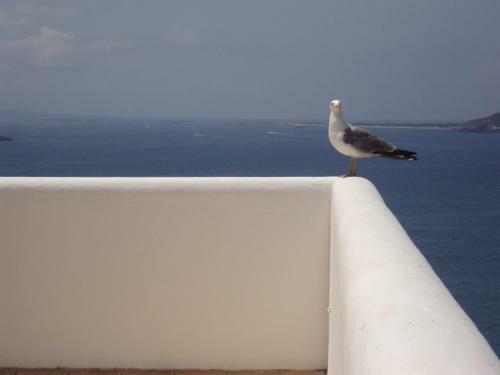 Hostal Marblau
